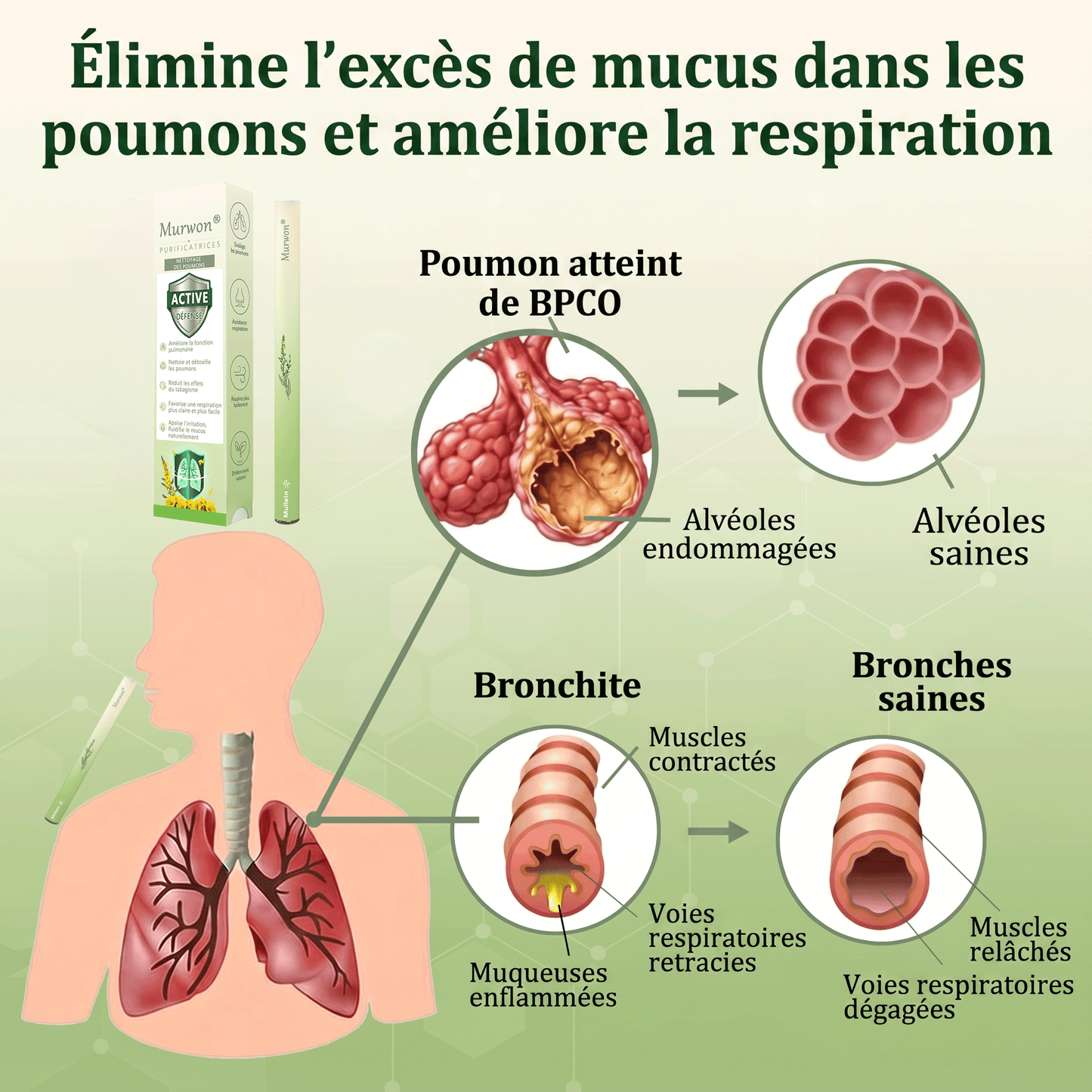 🇨🇦 Fièrement fabriqué et expédié au Canada✅𝑴𝒖𝒓𝙬𝙤𝐧® 𝑫𝒊𝒇𝒇𝒖𝒔𝒆𝒖𝒓 𝒅𝒆 𝑵𝒆𝒕𝒕𝒐𝒚𝒂𝒈𝒆 𝑷𝒖𝒍𝒎𝒐𝒏𝒂𝒊𝒓𝒆 à 𝒍𝒂 𝑴𝒐𝒍è𝒏𝒆 𝑩𝒐𝒕𝒂𝒏𝒊𝒒𝒖𝒆 (🫁 Toux, Pharyngite, essoufflement, expectorations, nez bouché, bronchite, symptômes allergiques, gêne pulmonaire)1❤️