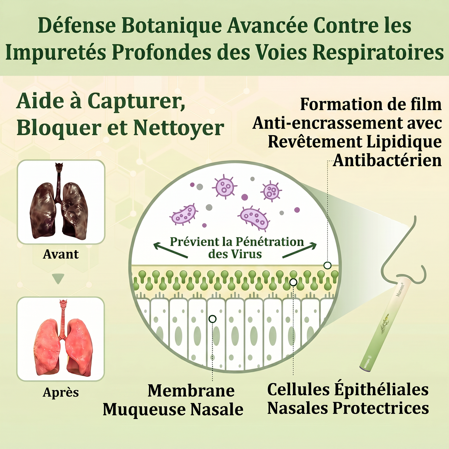 🇨🇦 Fièrement fabriqué et expédié au Canada✅𝑴𝒖𝒓𝙬𝙤𝐧® 𝑫𝒊𝒇𝒇𝒖𝒔𝒆𝒖𝒓 𝒅𝒆 𝑵𝒆𝒕𝒕𝒐𝒚𝒂𝒈𝒆 𝑷𝒖𝒍𝒎𝒐𝒏𝒂𝒊𝒓𝒆 à 𝒍𝒂 𝑴𝒐𝒍è𝒏𝒆 𝑩𝒐𝒕𝒂𝒏𝒊𝒒𝒖𝒆 (🫁 Toux, Pharyngite, essoufflement, expectorations, nez bouché, bronchite, symptômes allergiques, gêne pulmonaire)1❤️