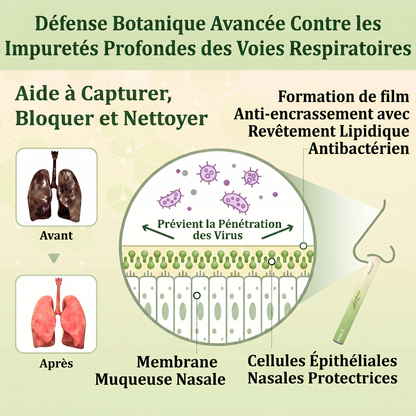 🇨🇦 Fièrement fabriqué et expédié au Canada✅𝑴𝒖𝒓𝙬𝙤𝐧® 𝑫𝒊𝒇𝒇𝒖𝒔𝒆𝒖𝒓 𝒅𝒆 𝑵𝒆𝒕𝒕𝒐𝒚𝒂𝒈𝒆 𝑷𝒖𝒍𝒎𝒐𝒏𝒂𝒊𝒓𝒆 à 𝒍𝒂 𝑴𝒐𝒍è𝒏𝒆 𝑩𝒐𝒕𝒂𝒏𝒊𝒒𝒖𝒆 (🫁 Toux, Pharyngite, essoufflement, expectorations, nez bouché, bronchite, symptômes allergiques, gêne pulmonaire)1❤️