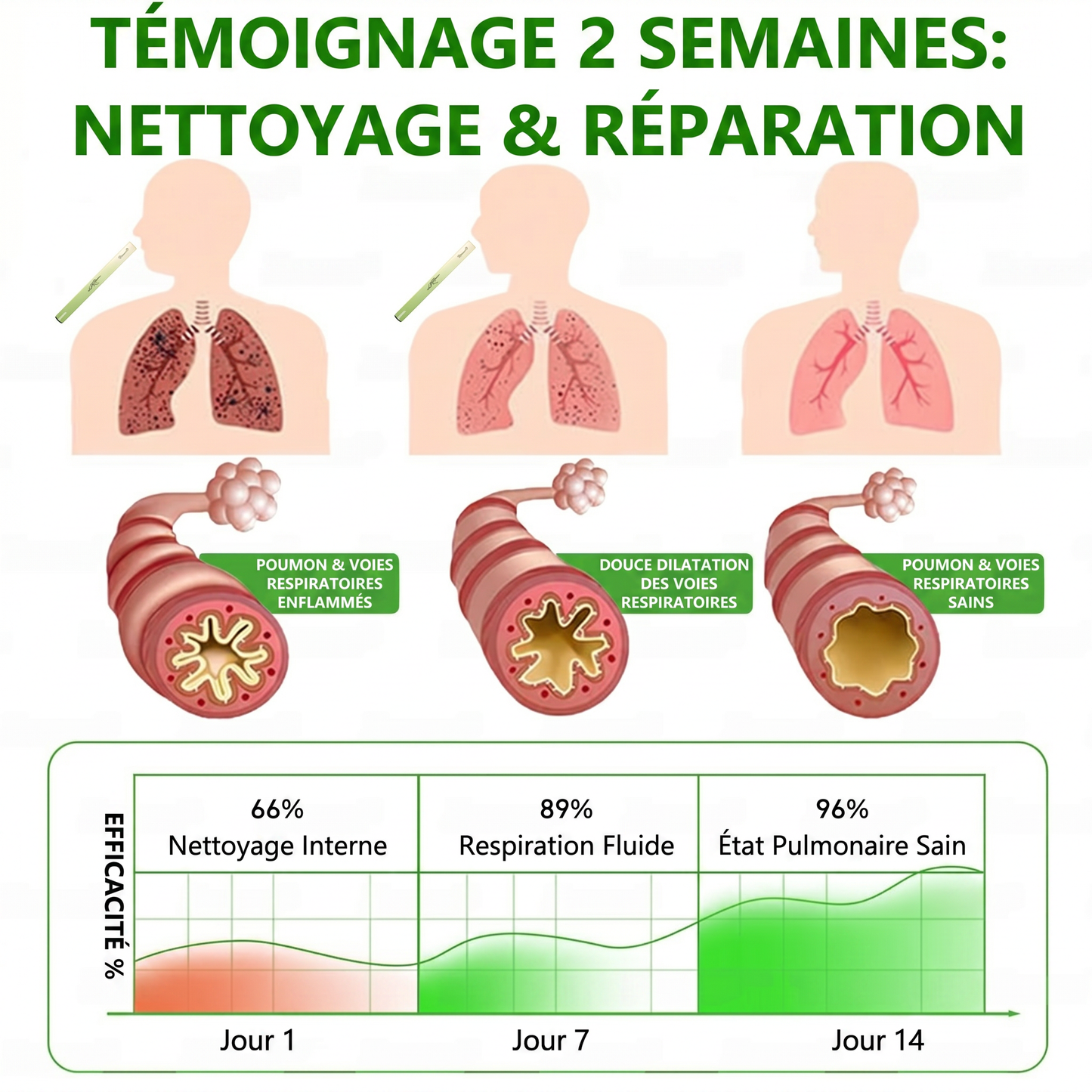 🇨🇦 Fièrement fabriqué et expédié au Canada✅𝑴𝒖𝒓𝙬𝙤𝐧® 𝑫𝒊𝒇𝒇𝒖𝒔𝒆𝒖𝒓 𝒅𝒆 𝑵𝒆𝒕𝒕𝒐𝒚𝒂𝒈𝒆 𝑷𝒖𝒍𝒎𝒐𝒏𝒂𝒊𝒓𝒆 à 𝒍𝒂 𝑴𝒐𝒍è𝒏𝒆 𝑩𝒐𝒕𝒂𝒏𝒊𝒒𝒖𝒆 (🫁 Toux, Pharyngite, essoufflement, expectorations, nez bouché, bronchite, symptômes allergiques, gêne pulmonaire)1❤️