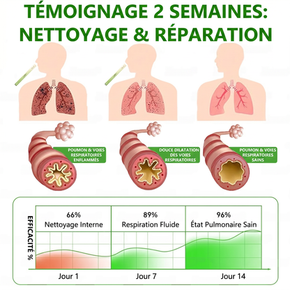 🇨🇦 Fièrement fabriqué et expédié au Canada✅𝑴𝒖𝒓𝙬𝙤𝐧® 𝑫𝒊𝒇𝒇𝒖𝒔𝒆𝒖𝒓 𝒅𝒆 𝑵𝒆𝒕𝒕𝒐𝒚𝒂𝒈𝒆 𝑷𝒖𝒍𝒎𝒐𝒏𝒂𝒊𝒓𝒆 à 𝒍𝒂 𝑴𝒐𝒍è𝒏𝒆 𝑩𝒐𝒕𝒂𝒏𝒊𝒒𝒖𝒆 (🫁 Toux, Pharyngite, essoufflement, expectorations, nez bouché, bronchite, symptômes allergiques, gêne pulmonaire)1❤️